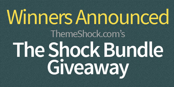 themeshock-bundle-giveaway-winners