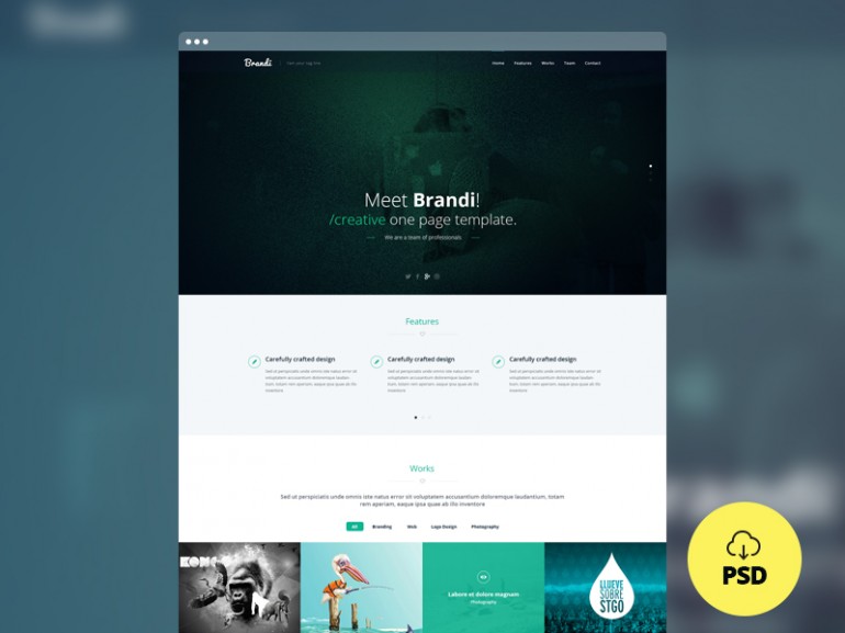 brandi-freebie-onepage-template-psd