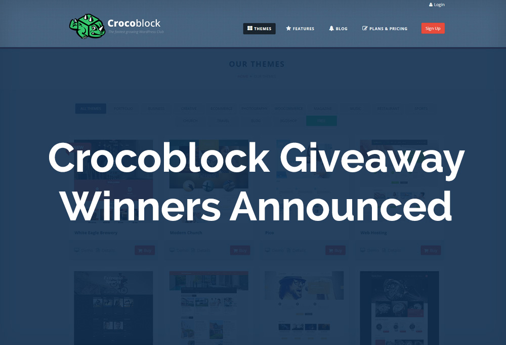 WP-themes-Giveaway-winners