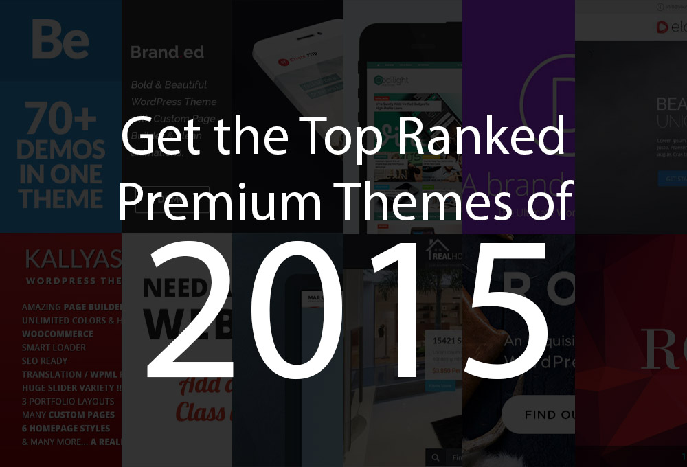 premium-wp-themes-2015