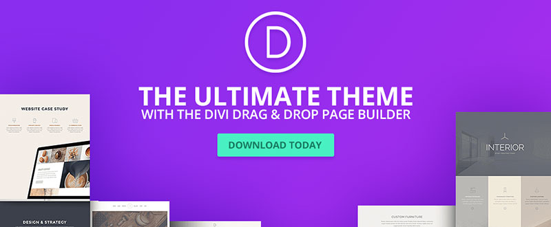 DIVI WP Themes