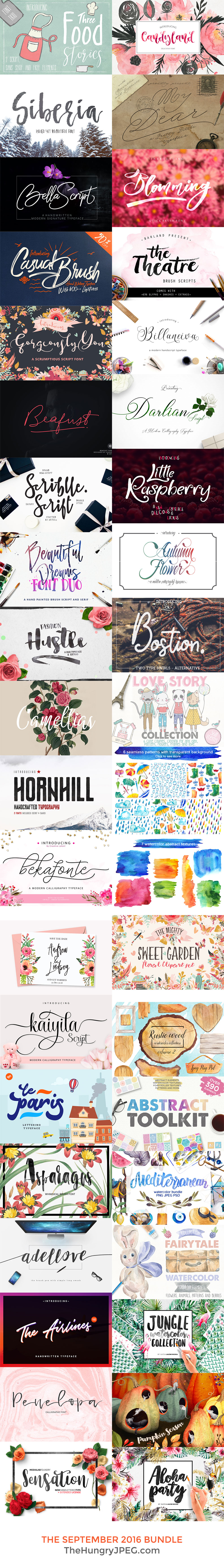 Fonts & Graphics Bundle