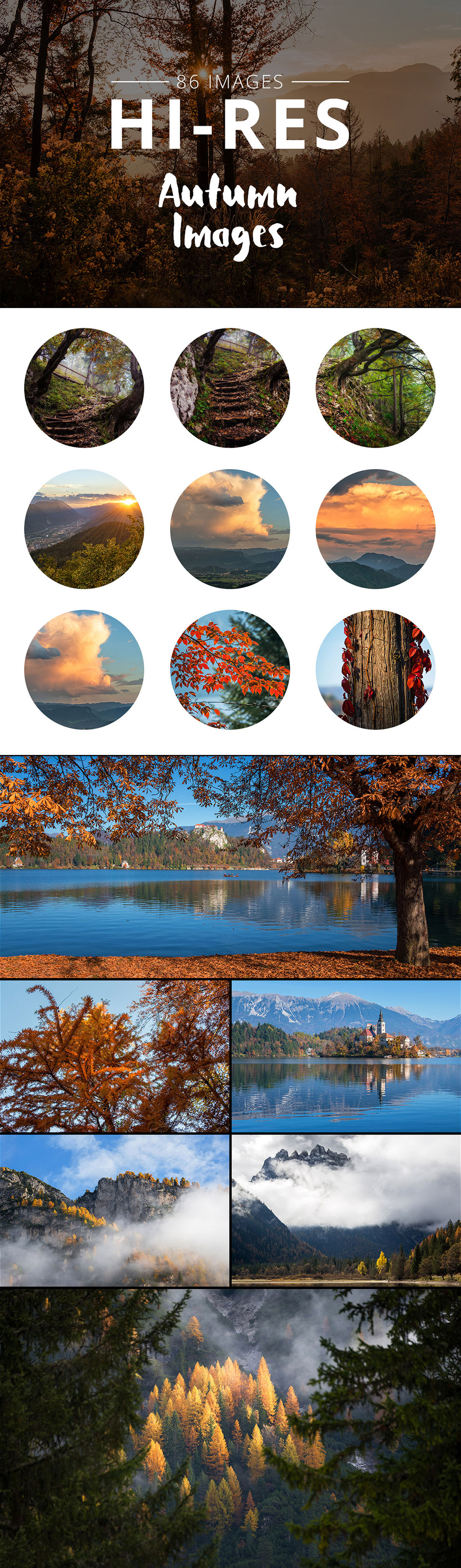 Photos Bundle Autumn