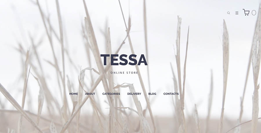 Tessa Online Shop