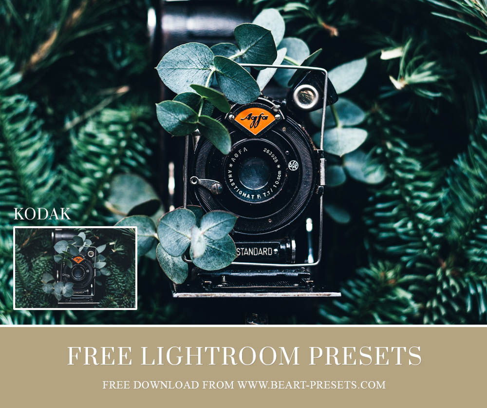 Free Lightroom Preset