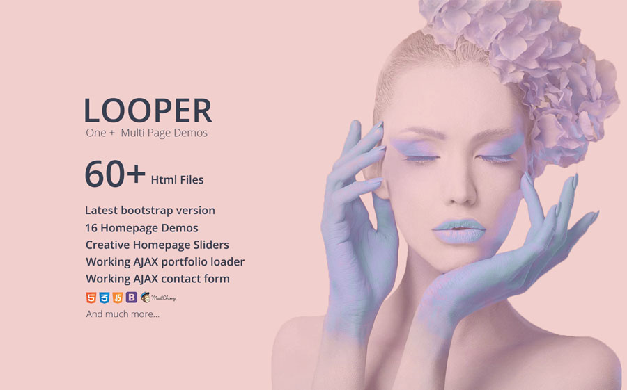 Looper - Multipurpose One/Multi Page Template Website Template