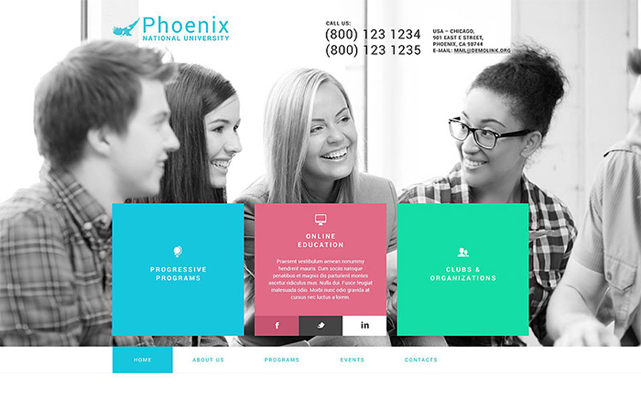 Phoenix WordPress Theme 