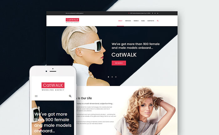 Model Agency WordPress Theme