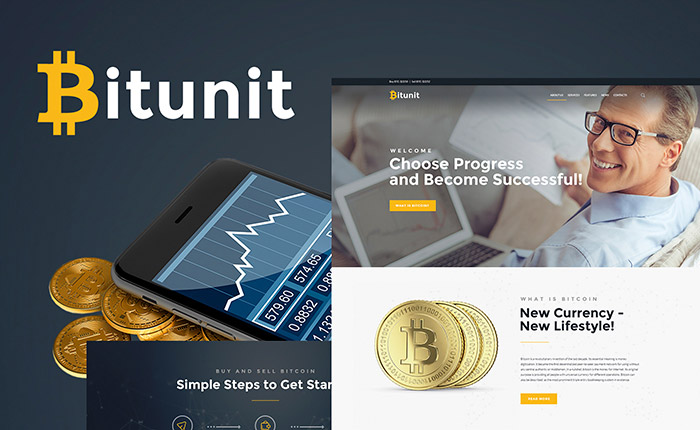 Bitcoin Free WordPress Theme