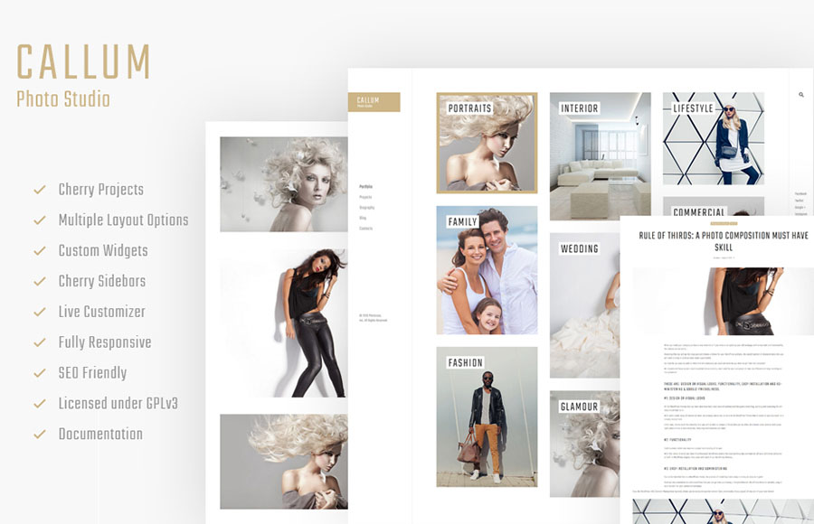 Online Portfolio WordPress Theme 