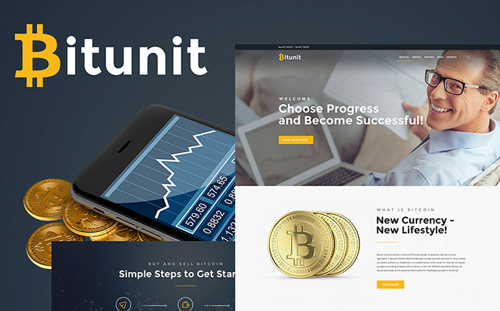 Bitcoin Free WordPress Theme 