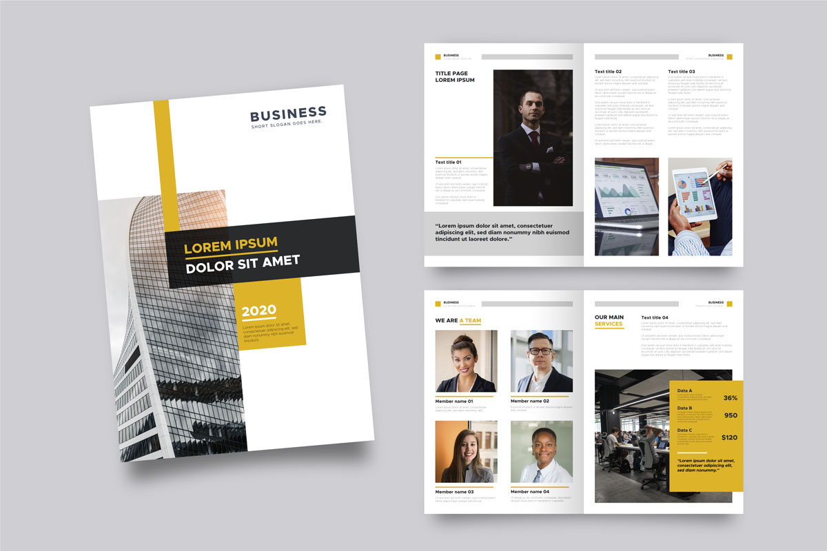 Professional Brochure Template