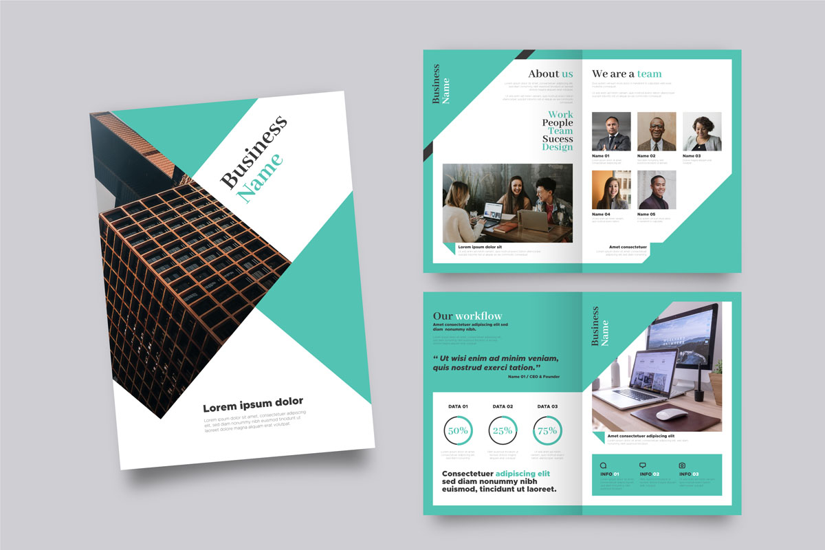 Professional Brochure Template