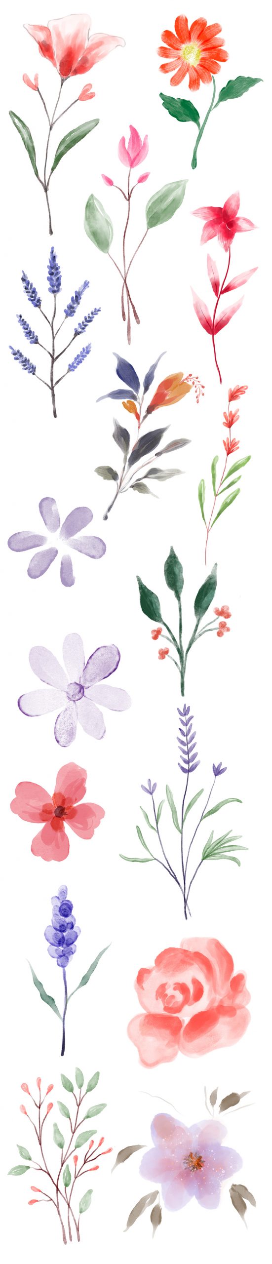 Hand-painted Watercolour Floral Elements