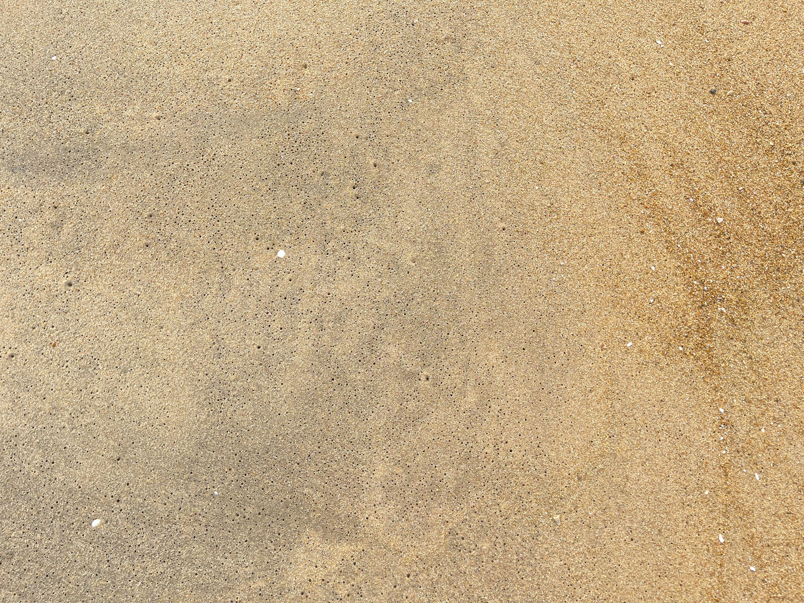 Free beach sand textures