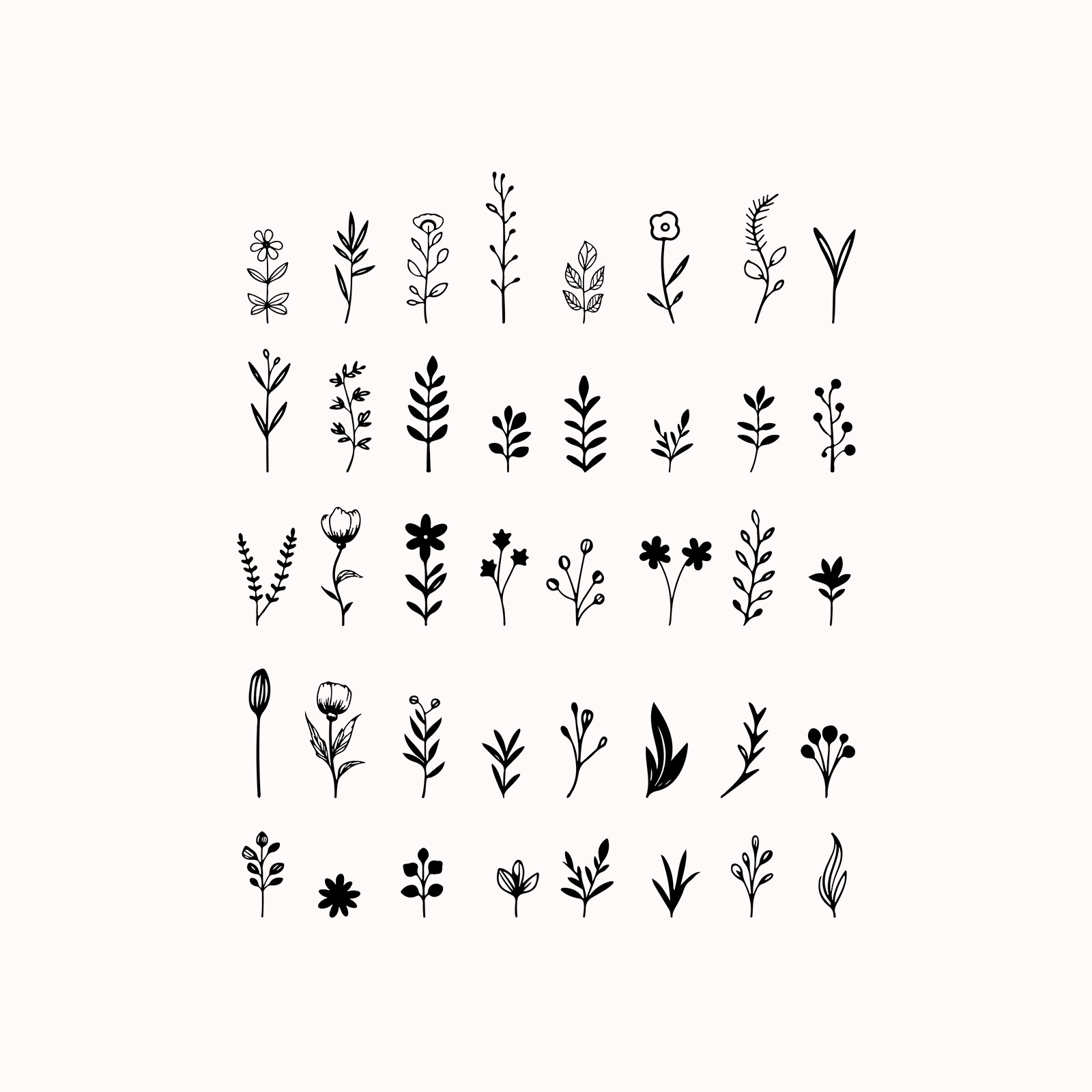 Vector floral decorative elements