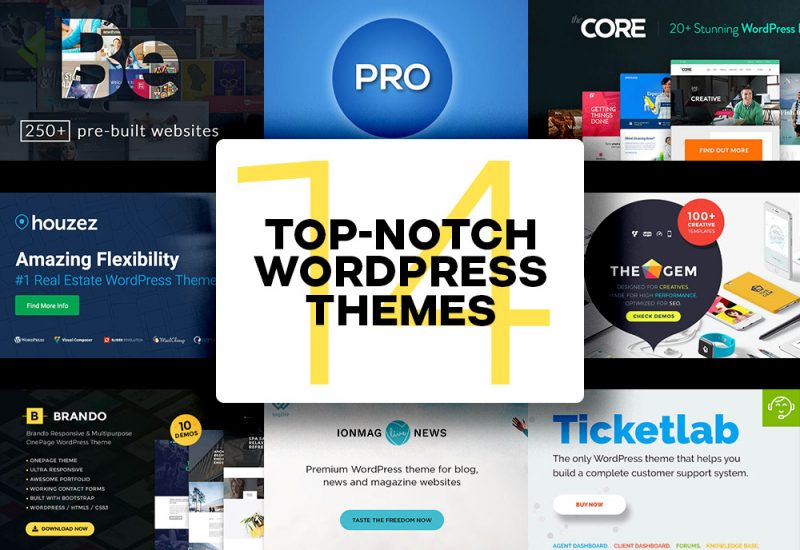 Top Wordpress Theme