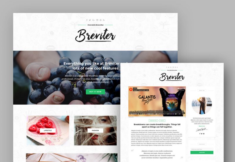 Breviter WP Blog PSD Template