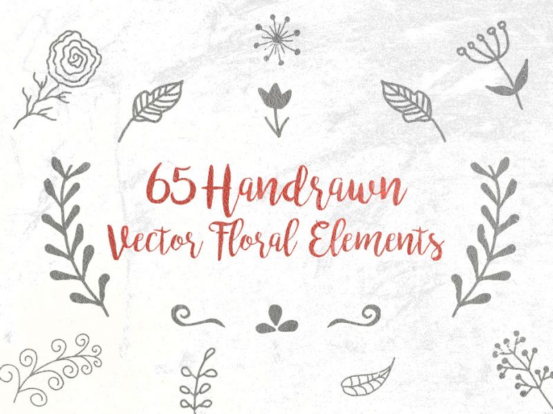 Free Vector Handdrawn Floral Elements