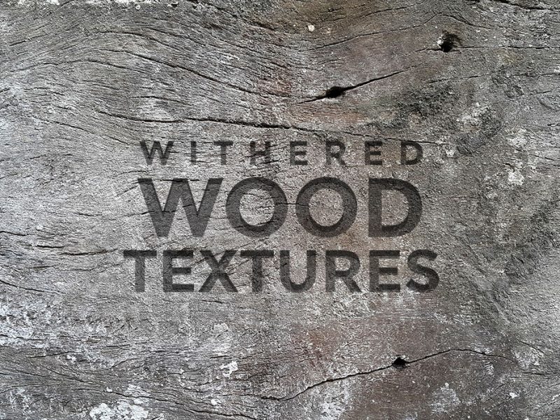 Free Withered Wood Textures