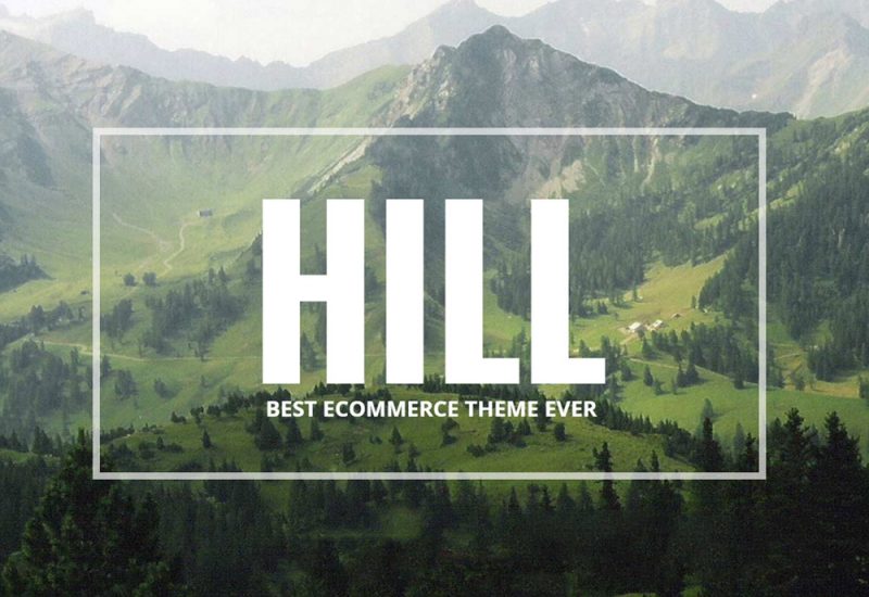 HILL Premium WP Woocommerce Theme