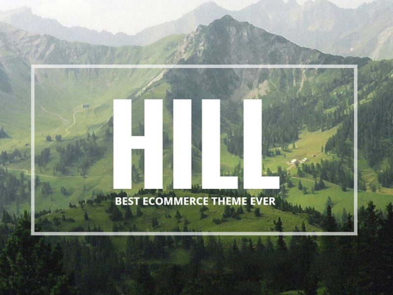 HILL Premium WP Woocommerce Theme