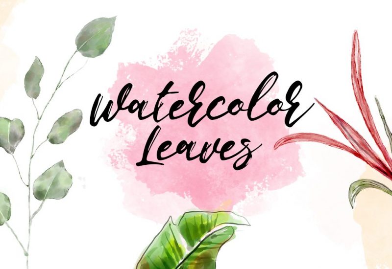 Watercolor Leaves