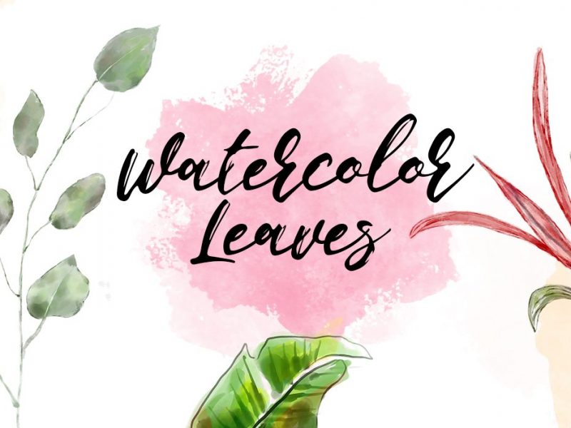 Watercolor Leaves