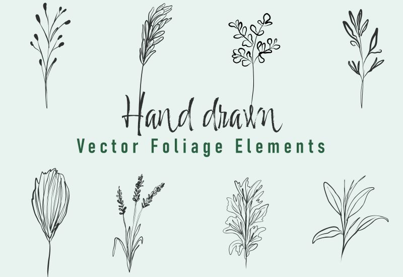 Hand Drawn Vector Foliage Elements