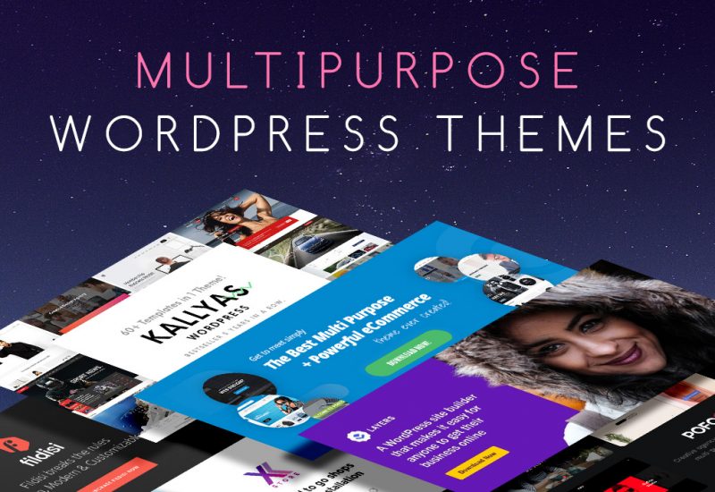 Multipurpose Wordpress Themes