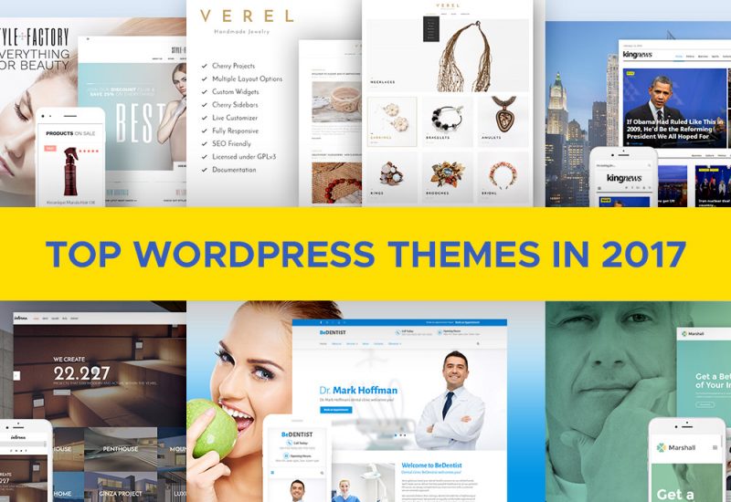 Top-WordPress-Themes-2017