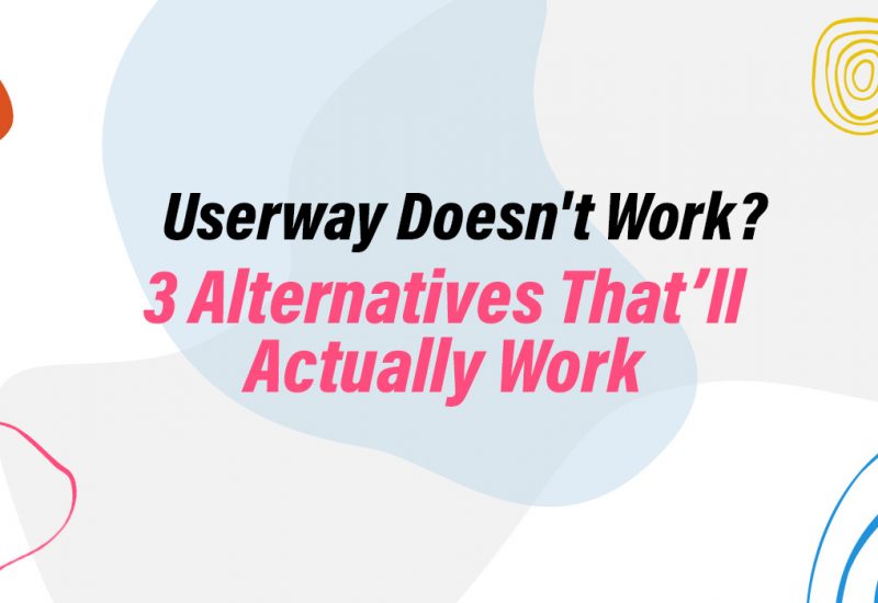 Userway Web Accessibility Alternatives