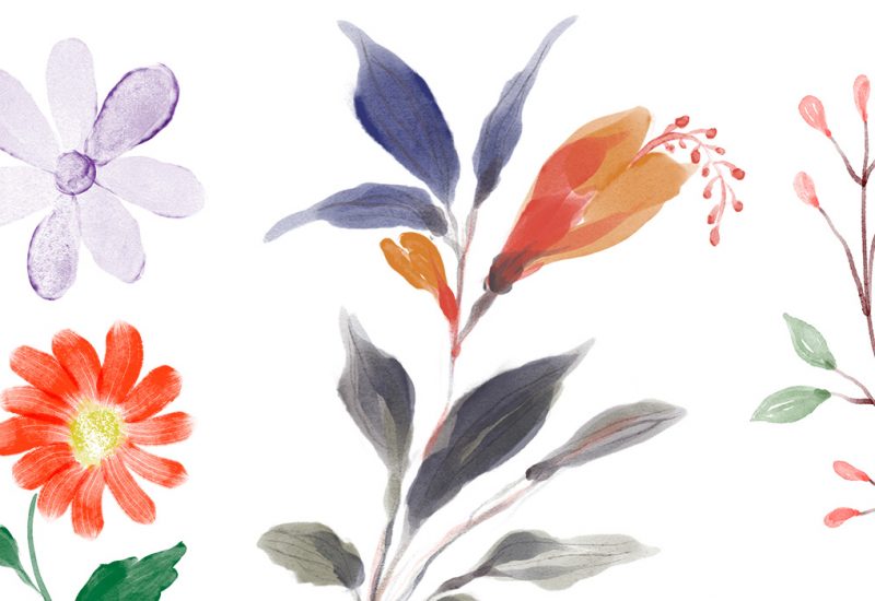 Hand-painted Watercolour Floral Elements