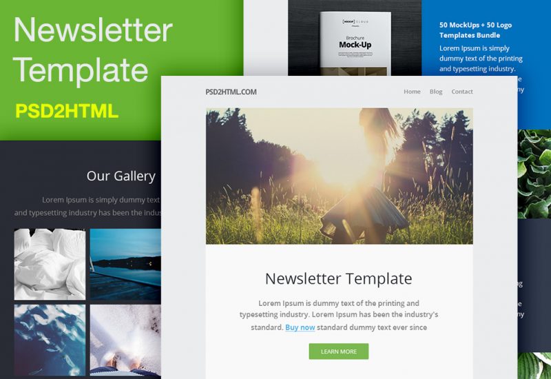 Free Newsletter Template (PSD & HTML)