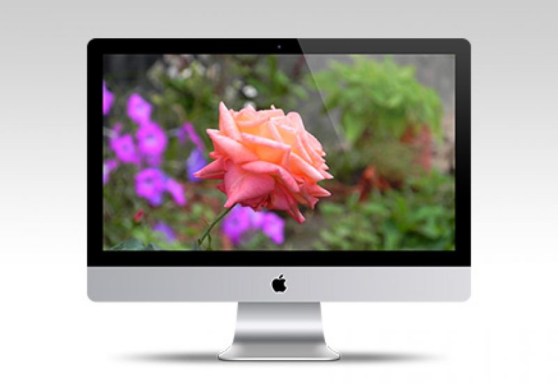 imac-mockup