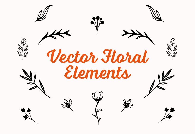 Vector floral decorative elements