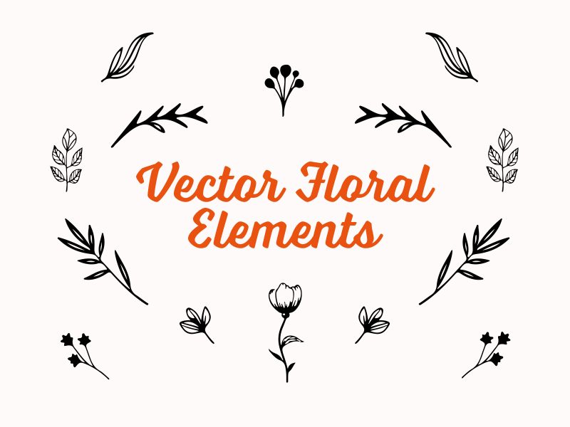 Vector floral decorative elements