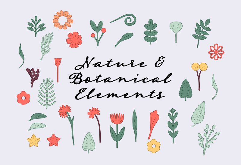 Nature and botanical vector elements