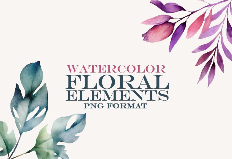 Watercolor floral elements